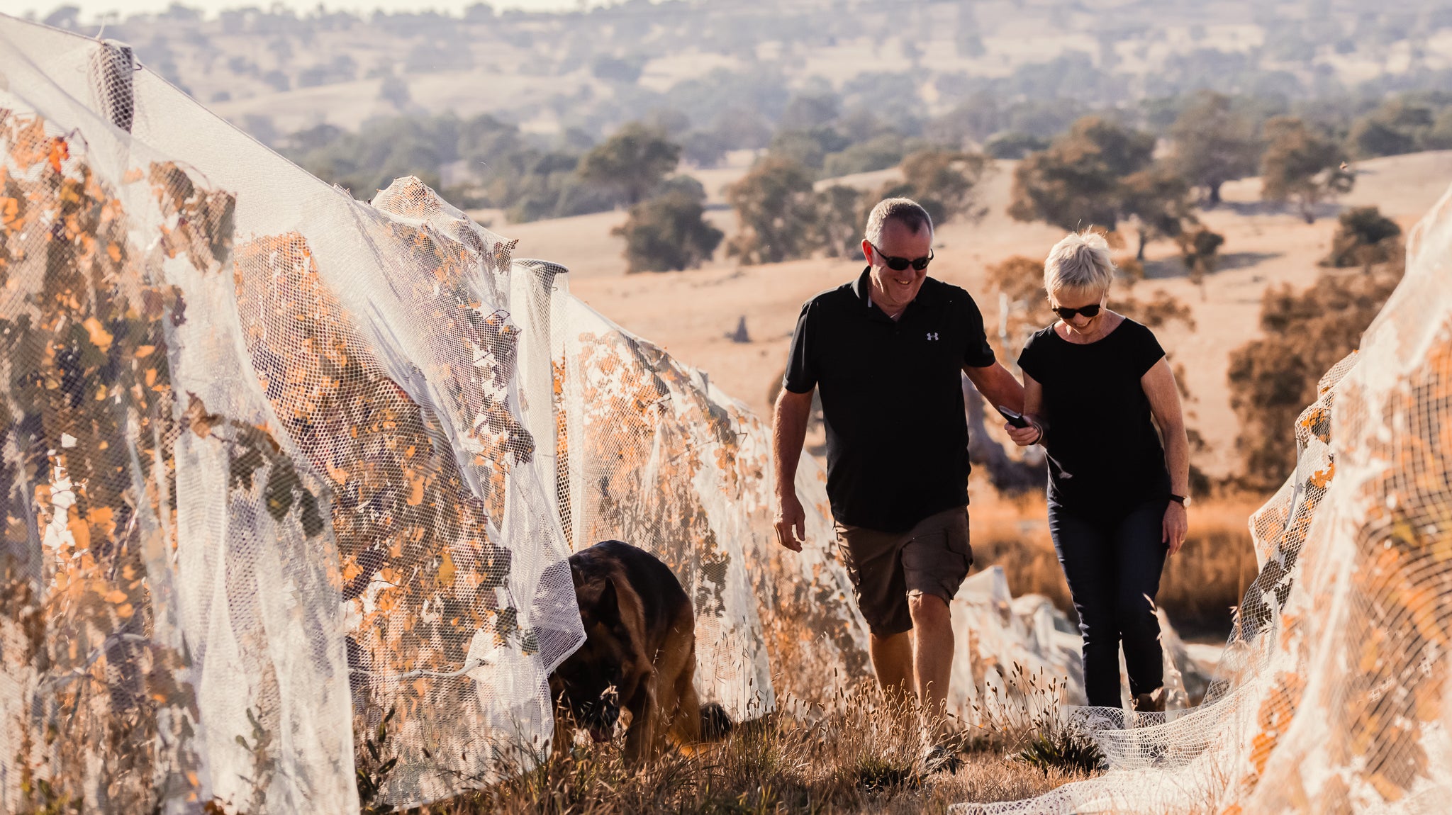 Introducing the latest release from Hobbs of Barossa Ranges; Behr Creek