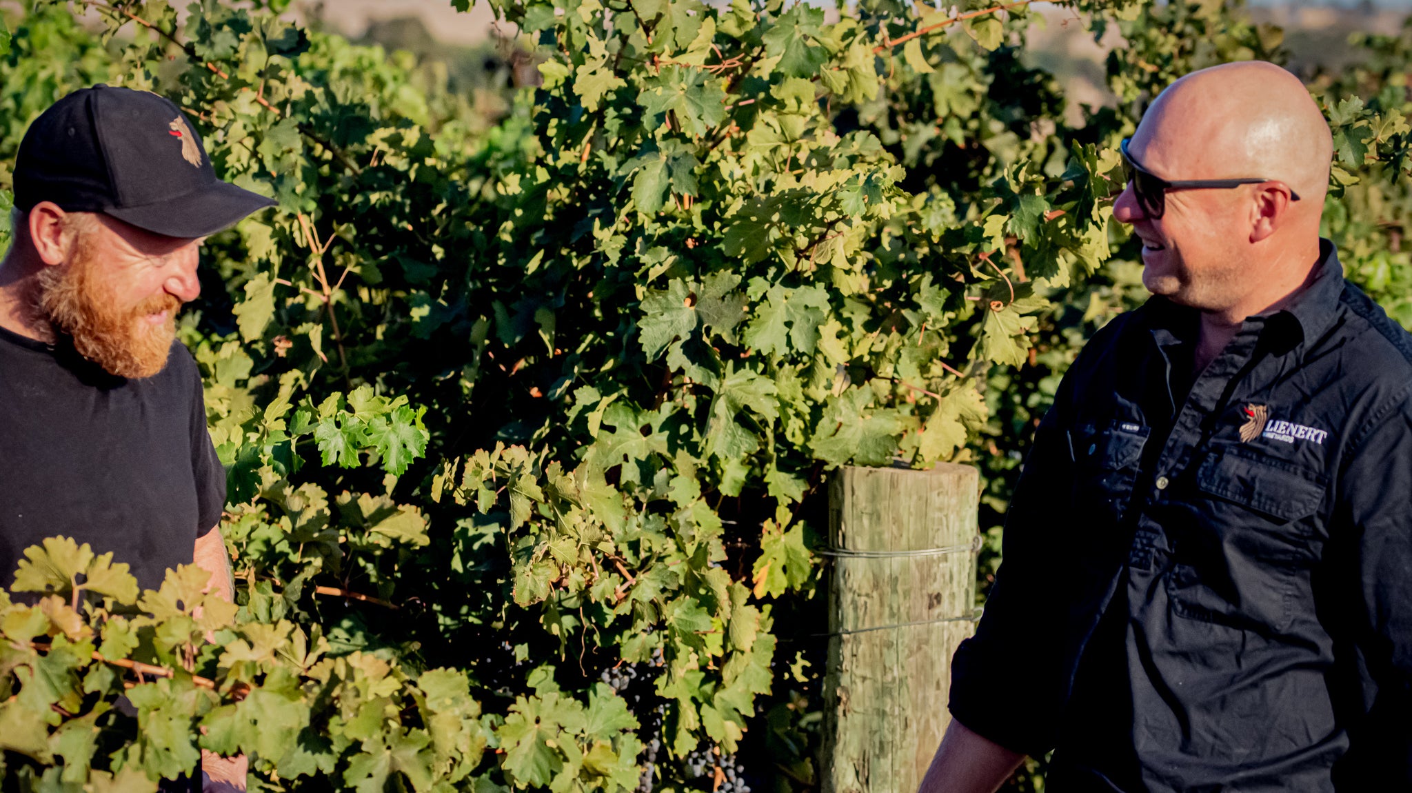 Celebrating: World Malbec Day in the Barossa