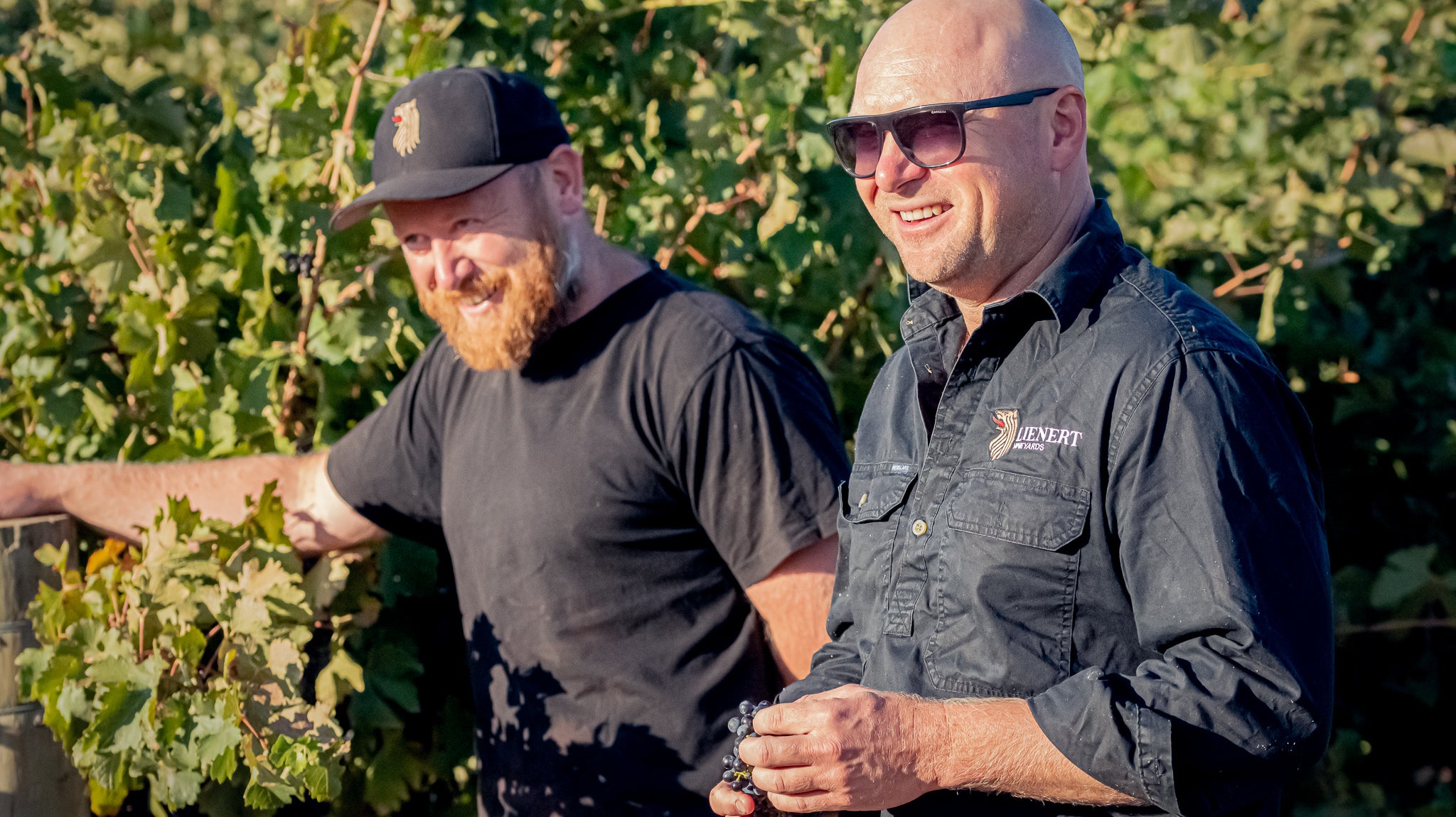 Meet the Artisans: Lienert Vineyards