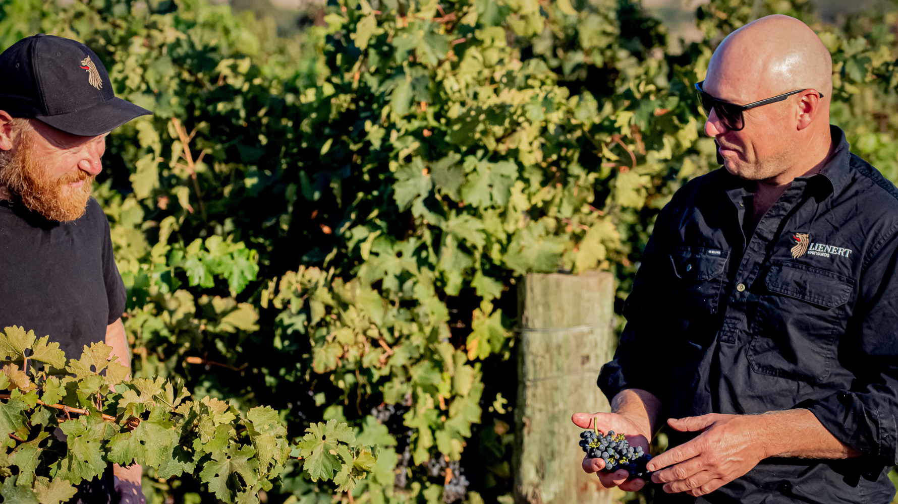 Celebrating Heritage and Innovation in Barossa: The Lienert Brothers' Winemaking Journey