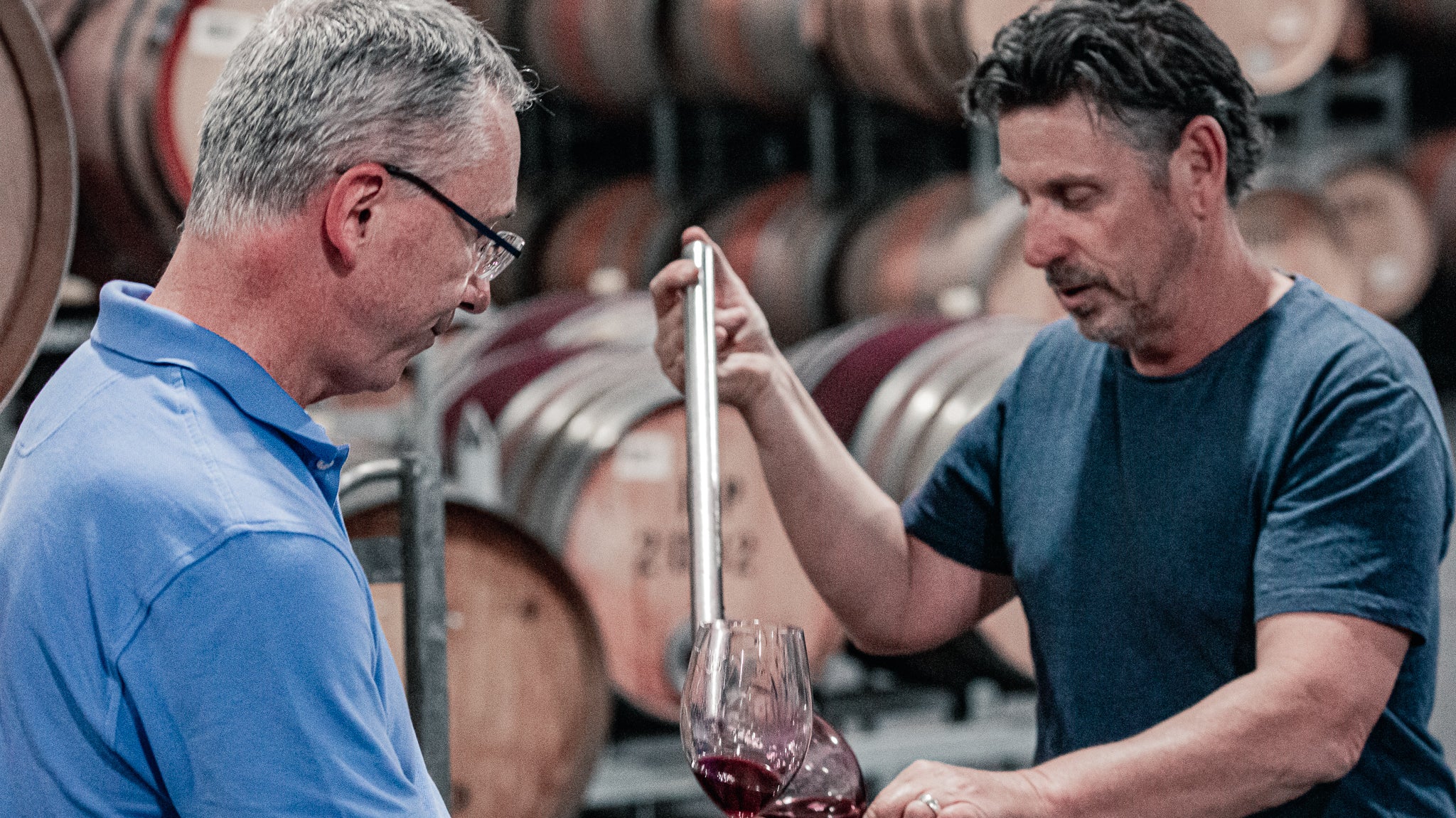 The story & history behind: The ancestor vines of Planta Circa