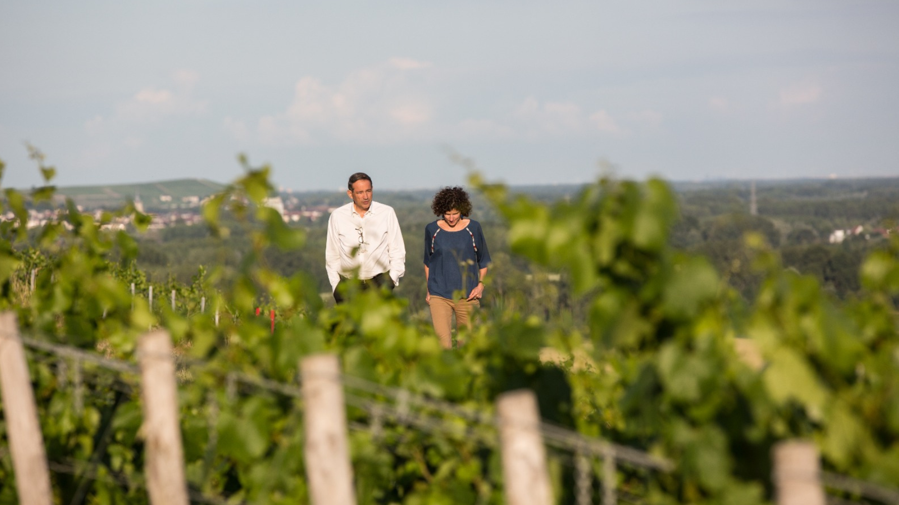 Artisans of Barossa Welcomes the World: An Exciting Expansion into International Small-Batch Wines