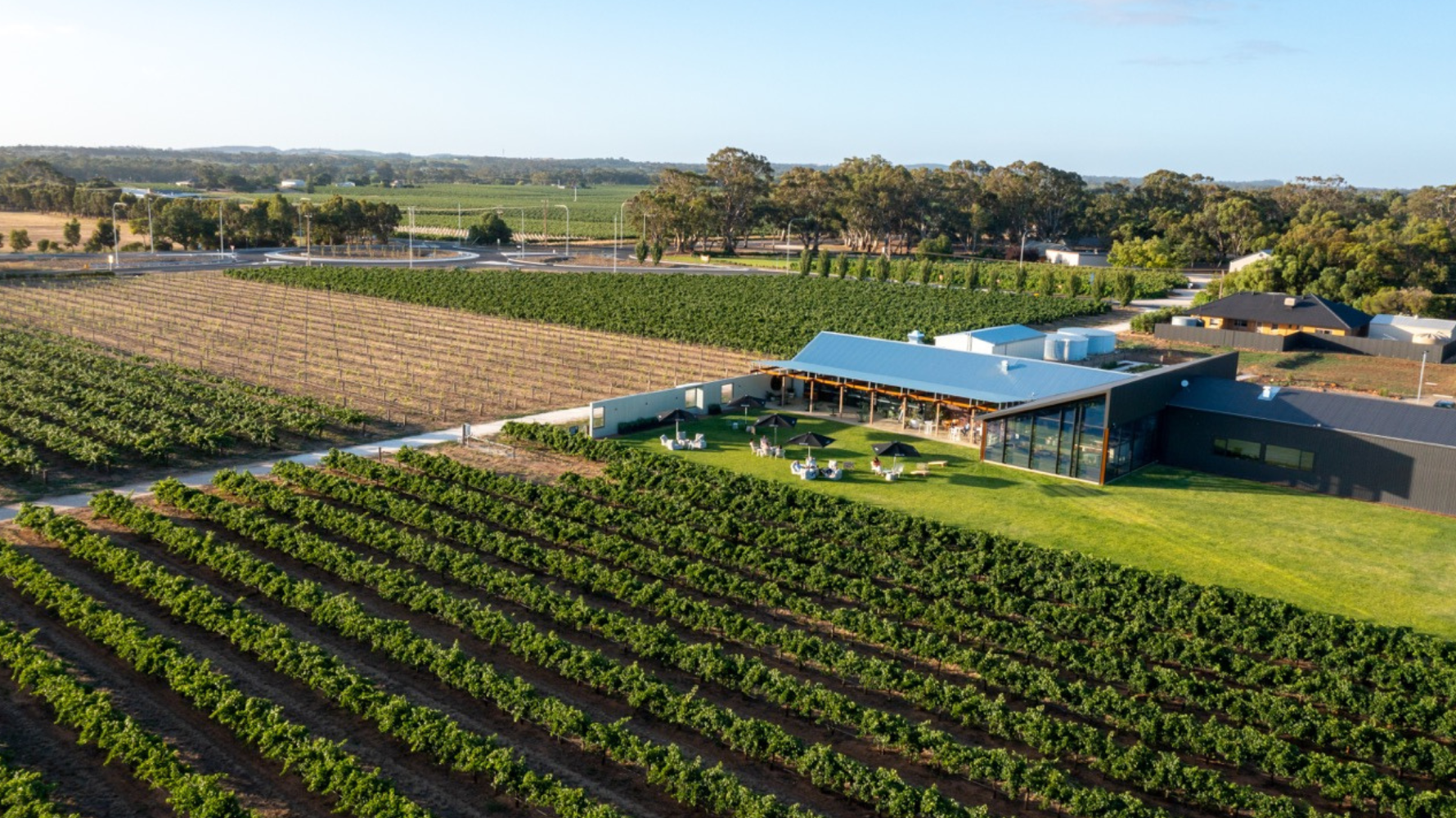 The Evolution of Artisans of Barossa: A Story of Collaboration and Promoting Small-batch Winemaking