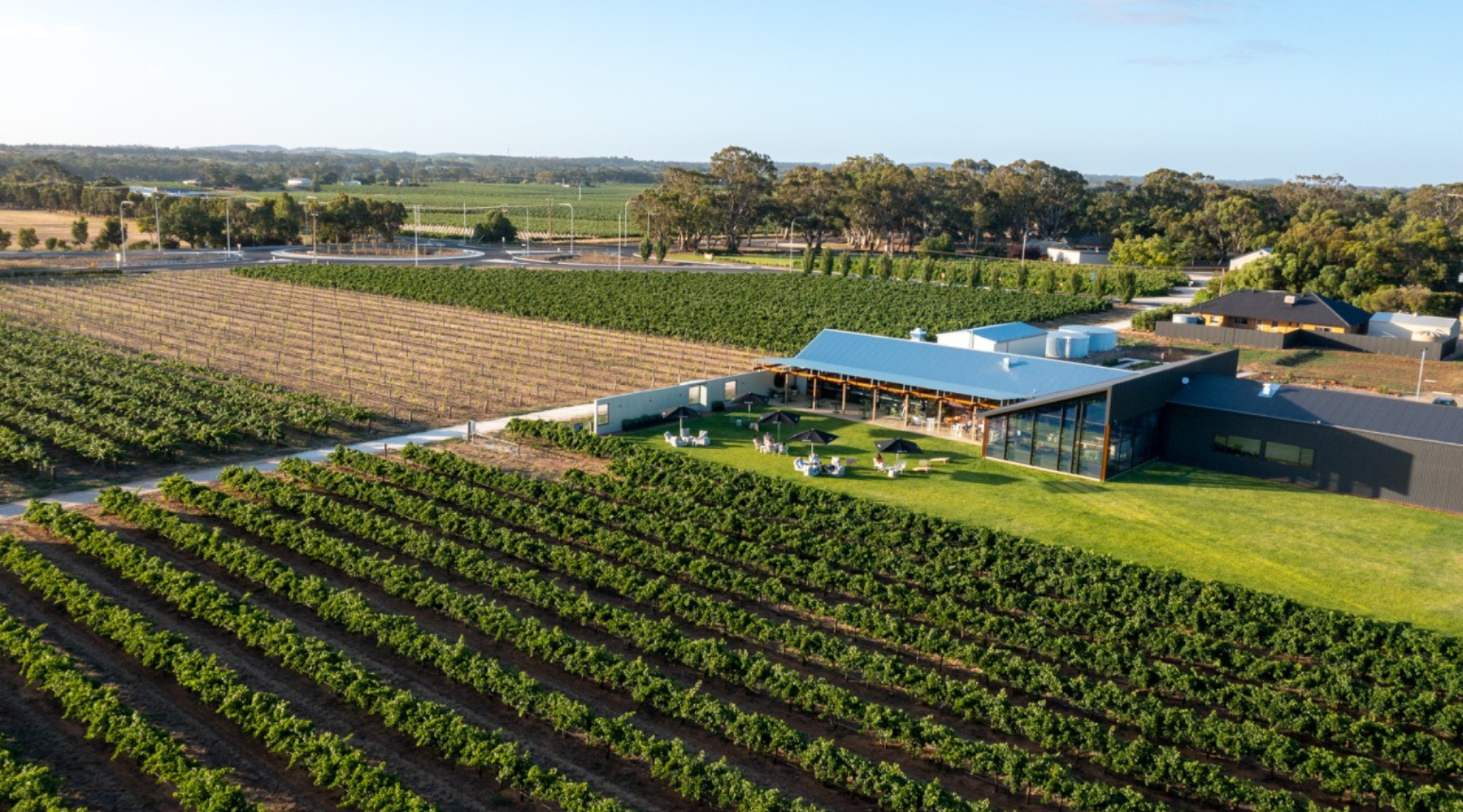The Evolution of Artisans of Barossa: A Story of Collaboration and Promoting Small-batch Winemaking