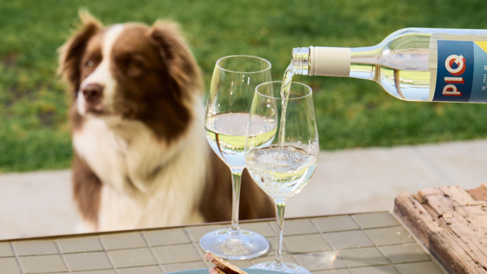 Join us in February for a PIQ Party!