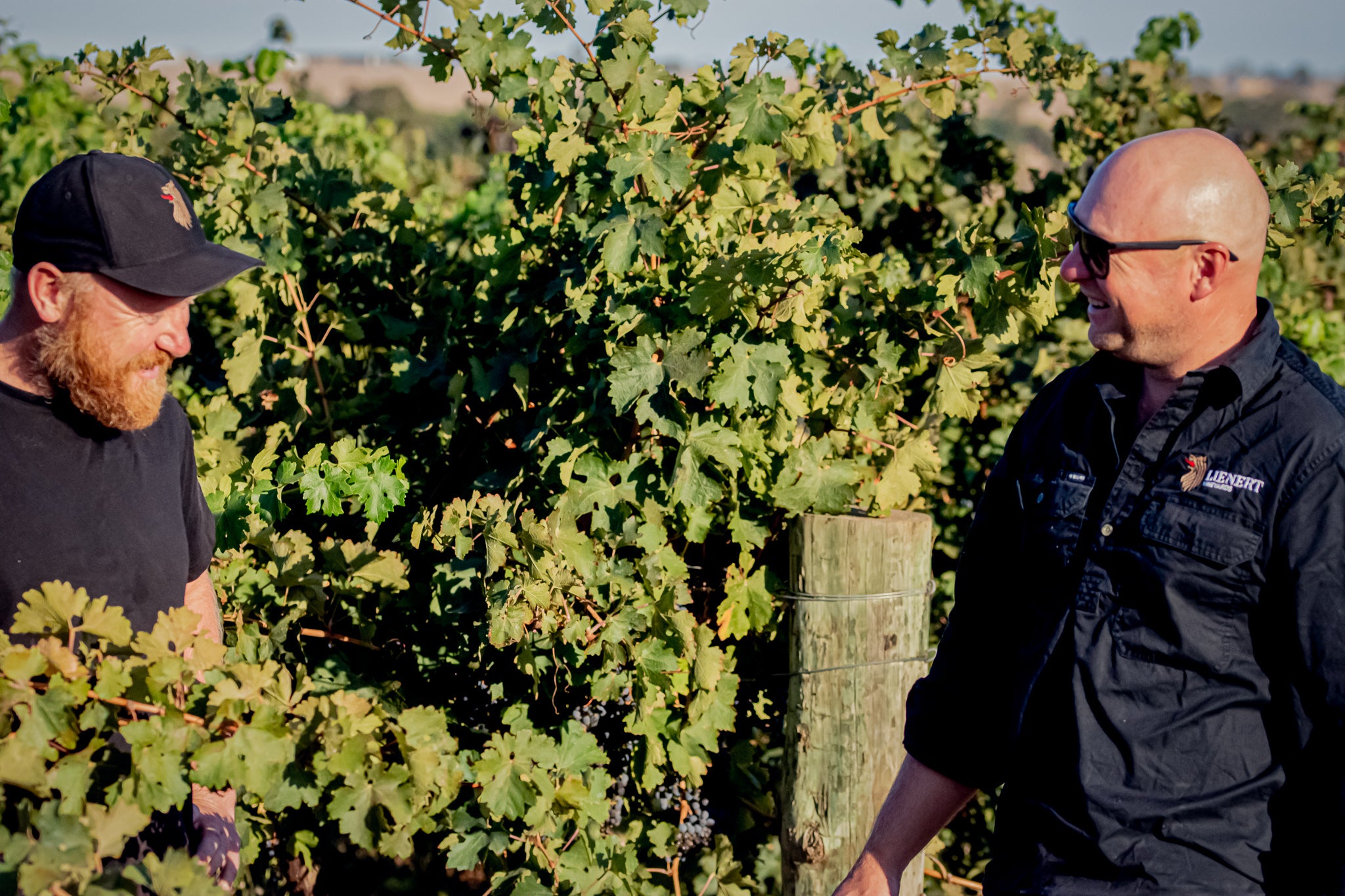 Celebrating: World Malbec Day in the Barossa