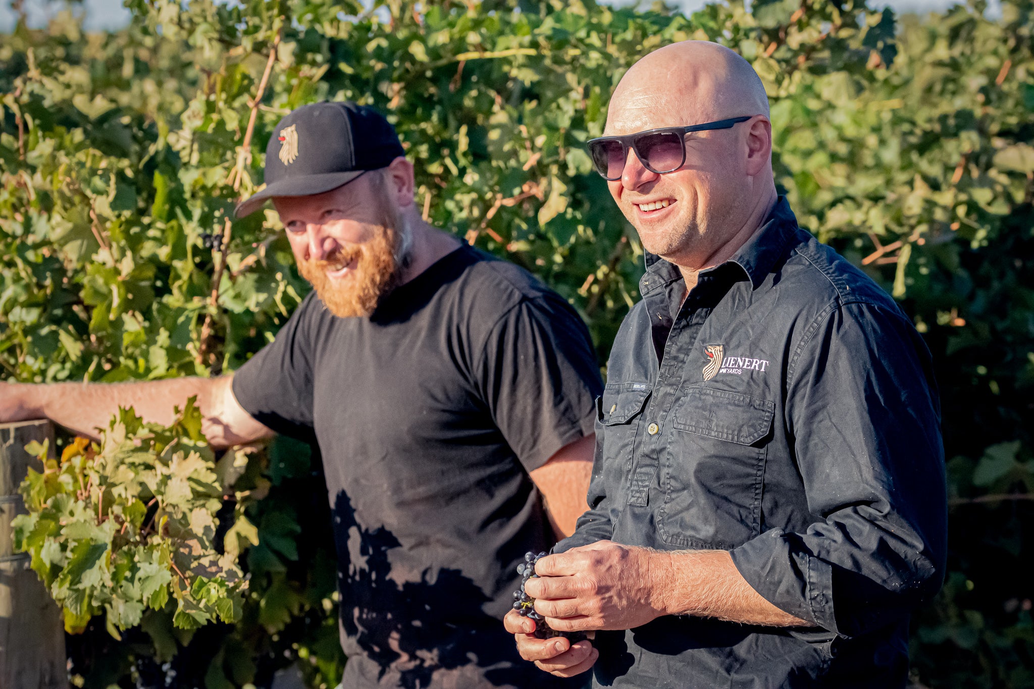 Meet the Artisans: Lienert Vineyards