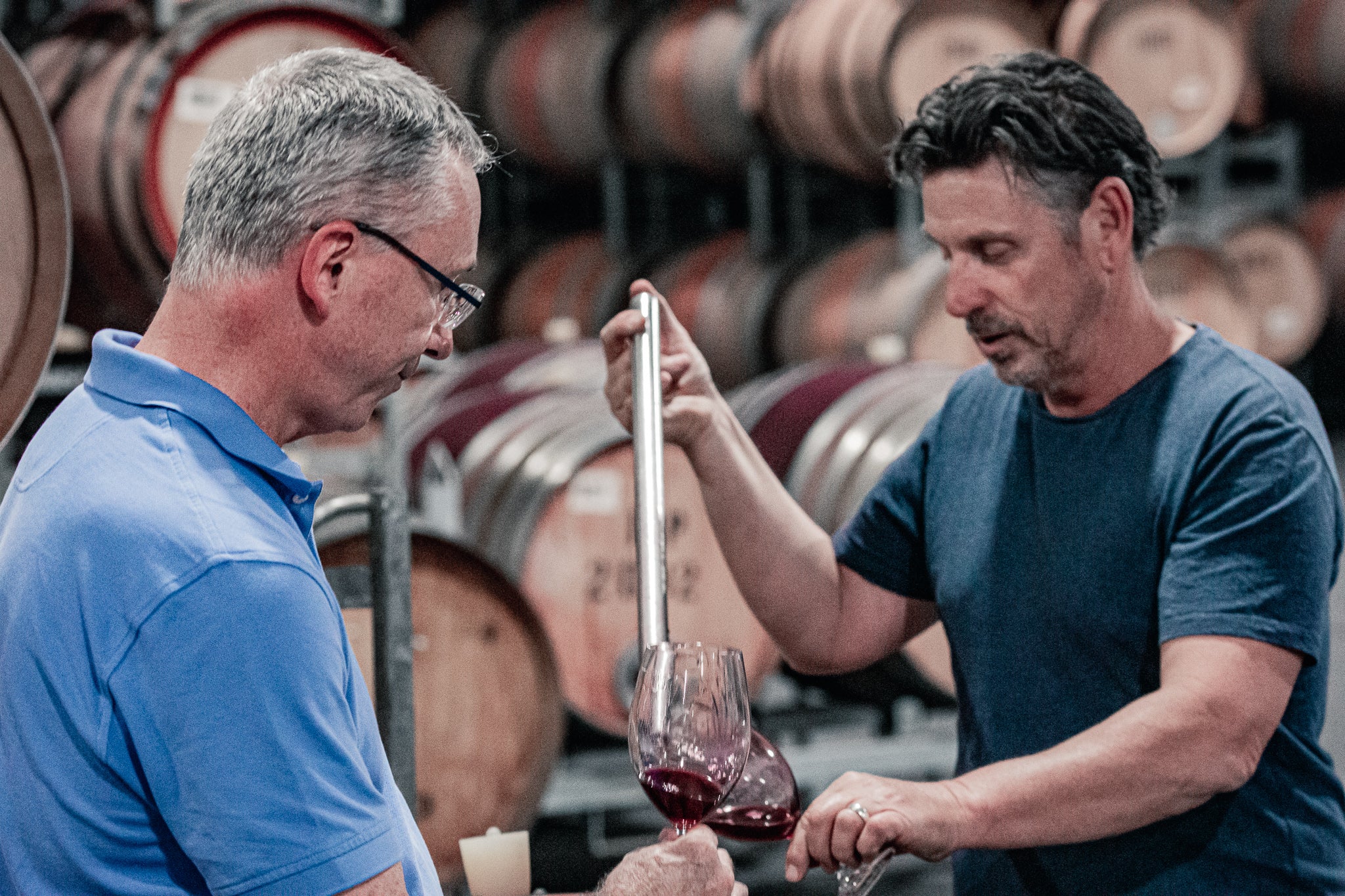 The story & history behind: The ancestor vines of Planta Circa