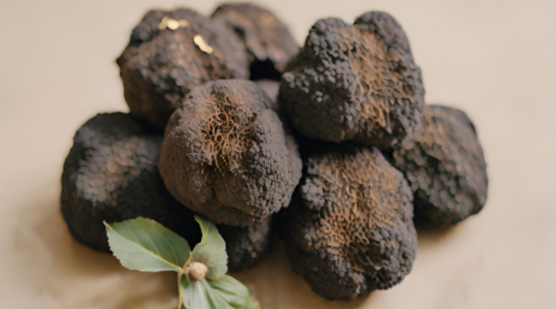 Truffle Dinner: The First of the Season