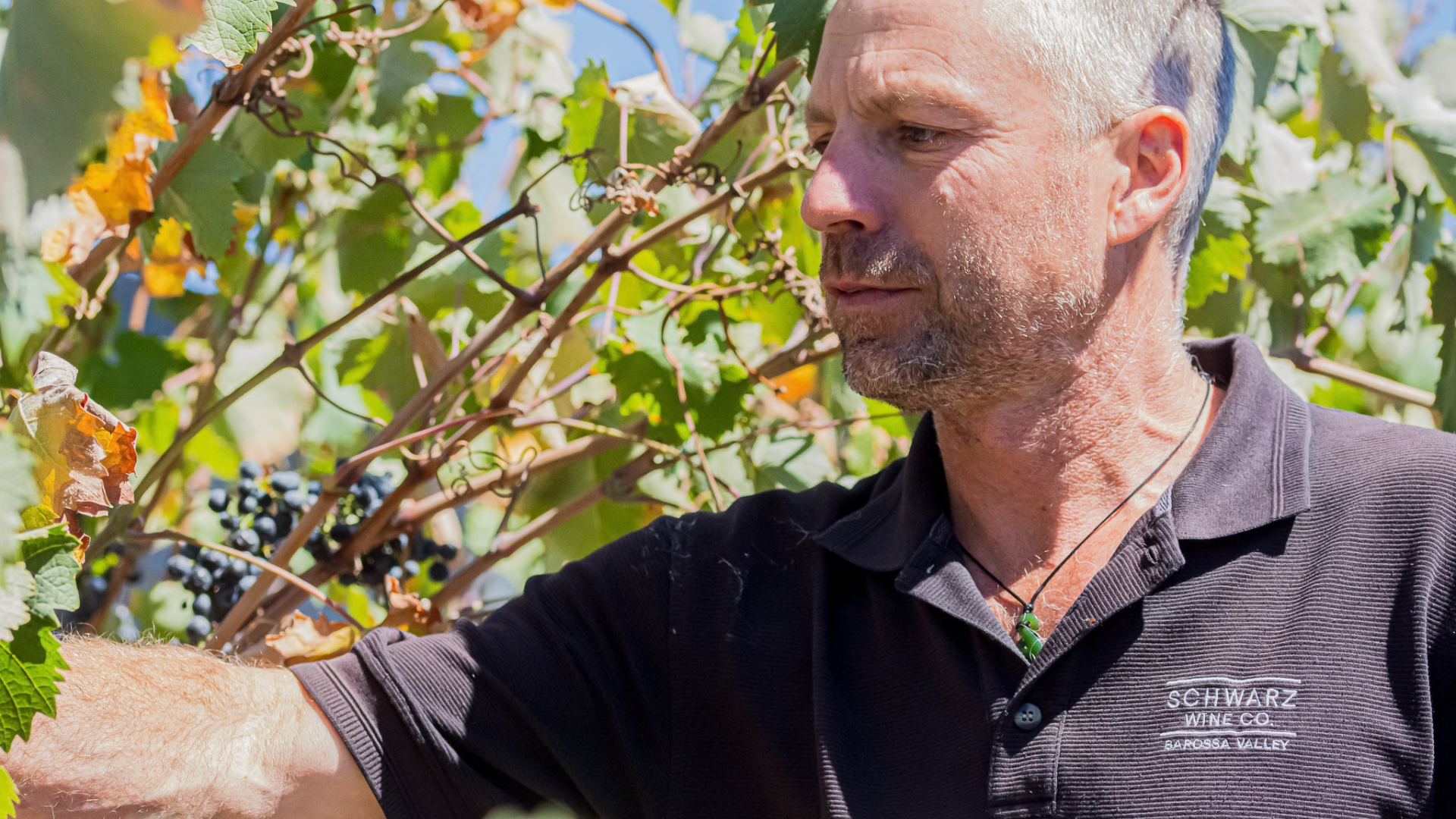 Farmer On Fire: Jason Schwarz 25th Anniversary At Artisans