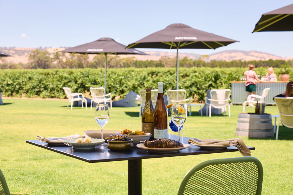 Dining on the terrace with vineyard views 
